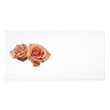 Two Peach Roses Picture Card