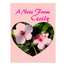 Two Pink Hibiscus Postcard