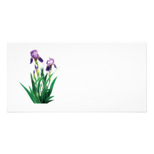 Two Purple Irises Photo Card Template
