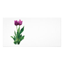 Two Purple Tulips Customized Photo Card