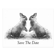 Two Rabbits (Bunnies): Save The Date Post Card