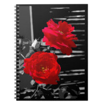 TWO RED ROSES NOTE BOOK