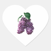 Two-Toned Lilacs Sticker