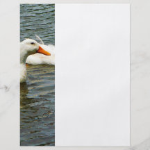 Two White Ducks Custom Flyer