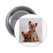 Two Yorkies Button