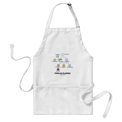 Types Of Plastids Aprons