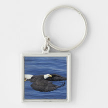 U.S.A., Alaska, Kenai Peninsula Bald eagle Keychains