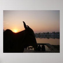 Udaipur Sunset Print