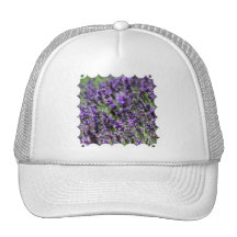 undefined mesh hat