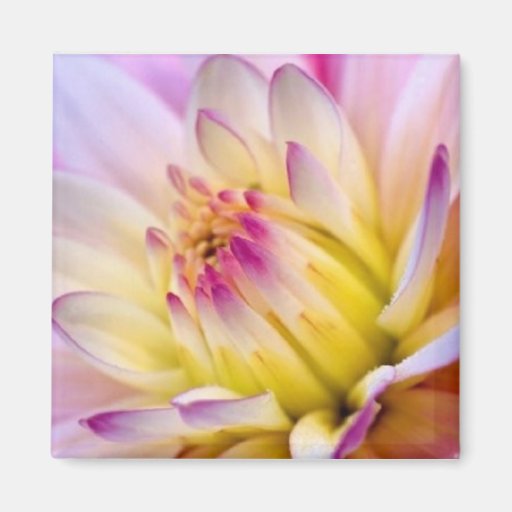 Unfolding Flower - Magnet