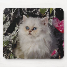 Unique Bicolored kitten Mousepad