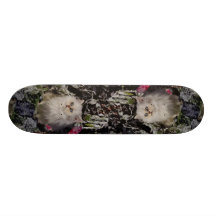 Unique Bicolored kitten Skate Board