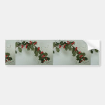 Unique Holly gift for special occasions Bumper Stickers