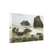 Unspoilt Beach in Aurora Province (2) Canvas Print