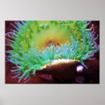 Untitled Posters