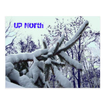 Up North Postcard