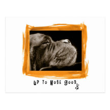 Up to Nose Good Post Cards