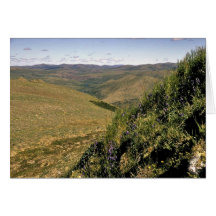 Upper Andreafsky River Card
