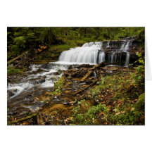 Upper Cascades Greeting Cards