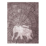 Urban Elephant Post Card