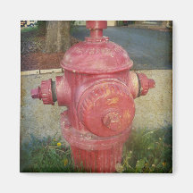 Urban Fire Hydrant Sticker Fridge Magnet