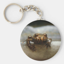 Urban Frog Key Chain