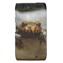 Urban Frog Motorola Droid RAZR Covers