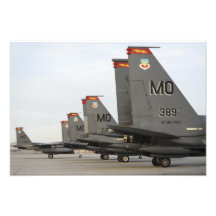 US Air Force F-15E Strike Eagles Art Photo