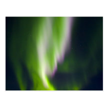 USA, Alaska, Chena Hot Springs. Aurora Borealis Post Card