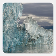 USA, Alaska, Tongass National Forest, Tracy 3 Sticker