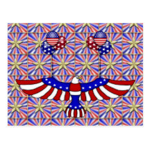 USA Balloon Flight Postcard