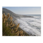 USA, California, Mendocino Coast Post Card