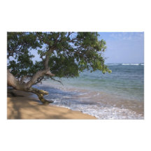 USA, Hawaii, Kauai, beach scenic. RF) Photo Art