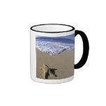 USA, Hawaii, Maui, Makena Beach, Starfish and Coffee Mugs