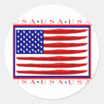 USA Kayak Flag Sticker