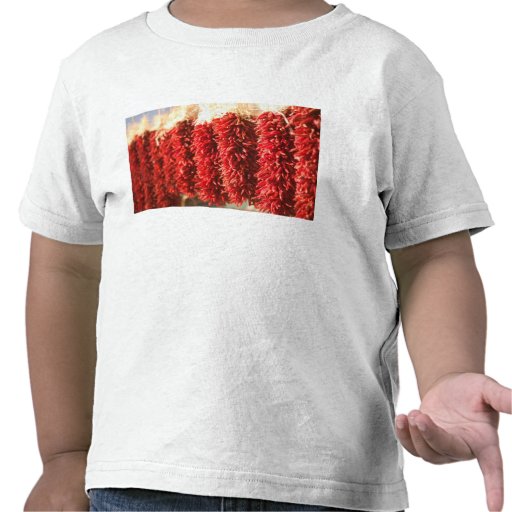 USA, New Mexico, Santa Fe: Downtown Santa Fe, 3 Tshirts