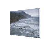 USA, Oregon, Coastline Canvas Print