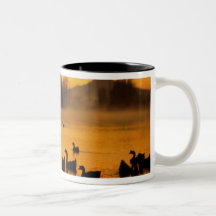USA, Oregon, Portland. Waterfowl in Columbia Coffee Mugs