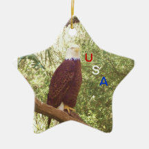 USA Ornament
