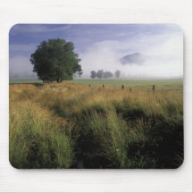 USA, Tennessee, Great Smokey Mountains Mousepads