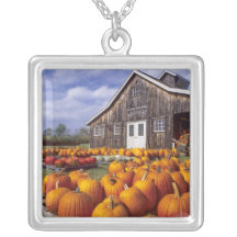 USA, Vermont, Shelbourne, Pumpkins Necklaces
