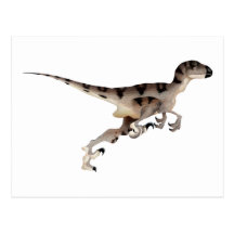 Utahraptor Postcard