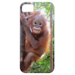 Uttuh Baby Orangutan in Jungle School casemate cases