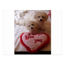 Valentines Babies Post Cards