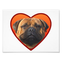 Valentine's bullmastiff dog photo art