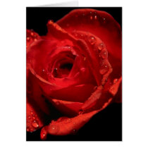 Valentine's Day card cards