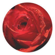 Valentine's Day Stickers stickers
