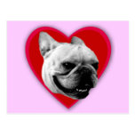 Valentine's French Bulldog postcard