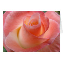 Valentine's Pink Rose Flower Greeting Cards Custom
