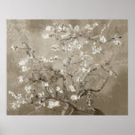 Van Gogh Almond Branches in Bloom - Sepia Posters